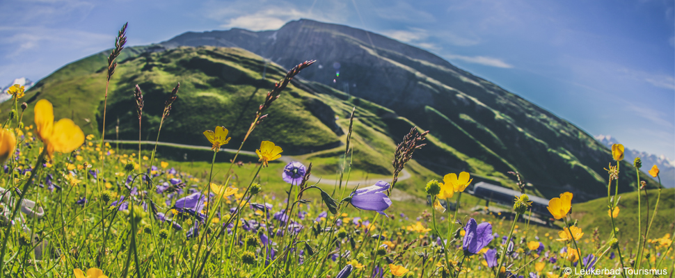 Frühling